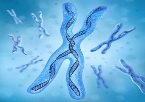 孕妇的医保能不能报销孕检费用呢？孕检的花费基本是这样